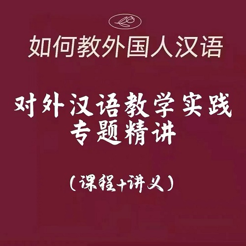对外汉语教学实践专题精讲 视频课+讲义