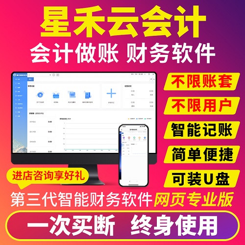 星禾云财务软件 中小企业会计代理记账网页专业版