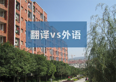 学语言，做翻译及进翻译公司当同传