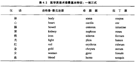 术语词源a.jpg