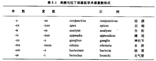 术语规则.jpg