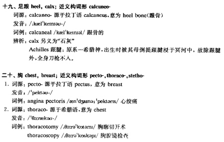 体区l.jpg