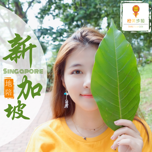 新加坡留学生陪游商务考察旅游翻译