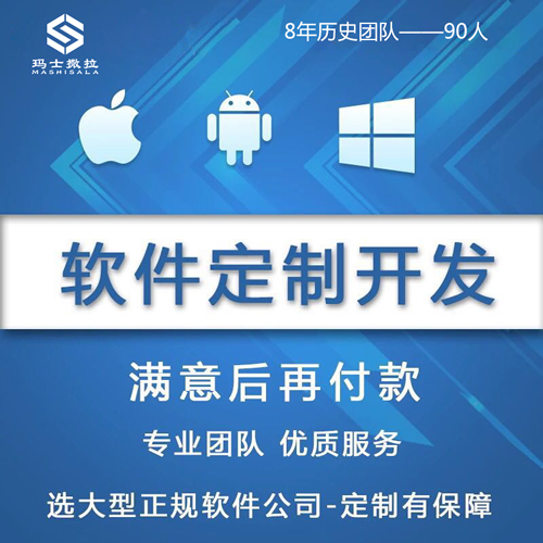 erp软件定制saas系统管理项目