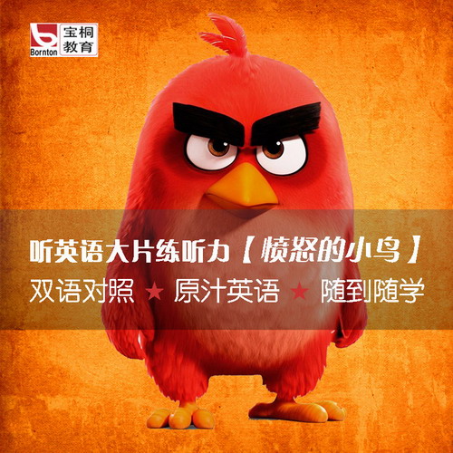 宝桐教育 台词练英语听力口语