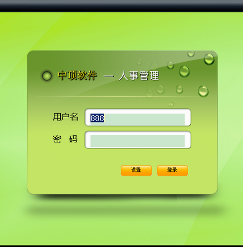 中顶人事工资管理系统 /加密狗永久使用