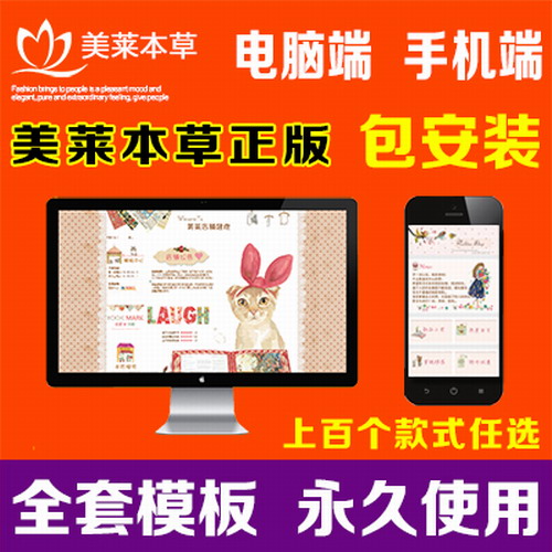 淘宝店铺装修模板 电脑PC端 手机无线端