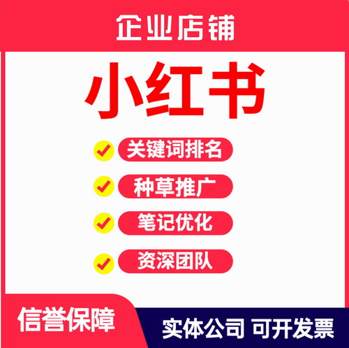 小红书全套推广引流 代运营服务