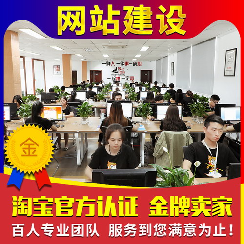 外贸公司企业官网搭建定制开发 模板仿站