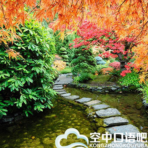 外教Daniel老师日语口语一对一在线课程  懂中文