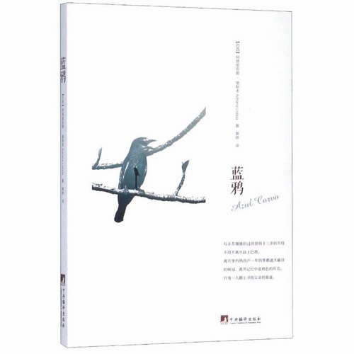 蓝鸦 作者:(巴西) 阿德里安娜·里斯本 著 译者:黄婷 译