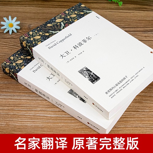 大卫科波菲尔 上下2册带注释