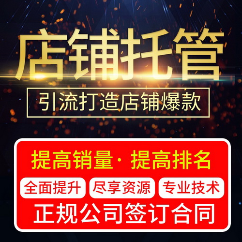 网店托管 拼多多 天猫 京东 直通车推广