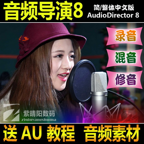 专业录音编辑处理软件 修音 调音 录歌曲降噪 串烧合成