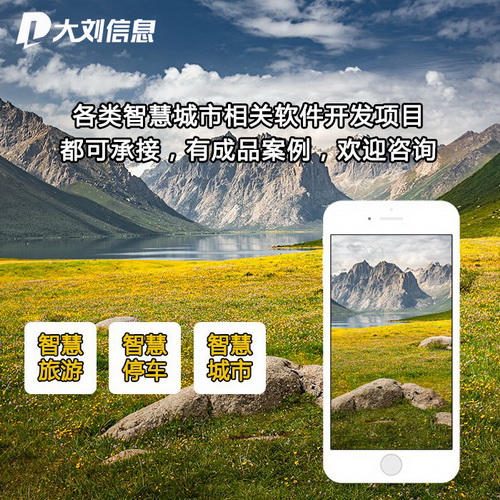 旅游app 停车管理 智慧城市 网站建设制作