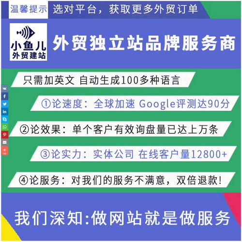  多语言独立站英西制作建站  谷歌SEO优化