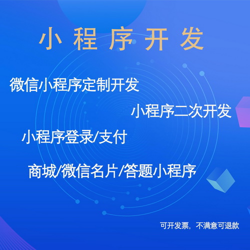 小程序修复api接口 网站系统维护