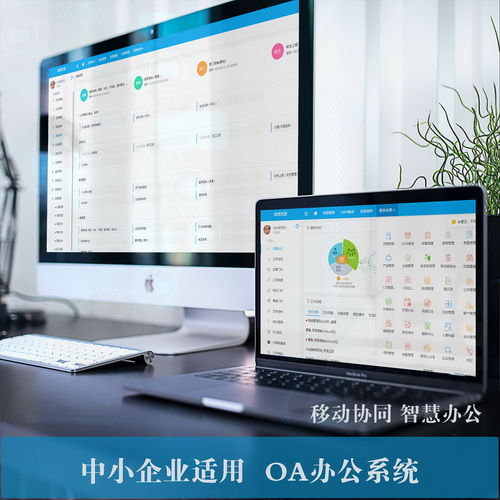Eoffice10中小企业OA办公协同系统 流程项目实施