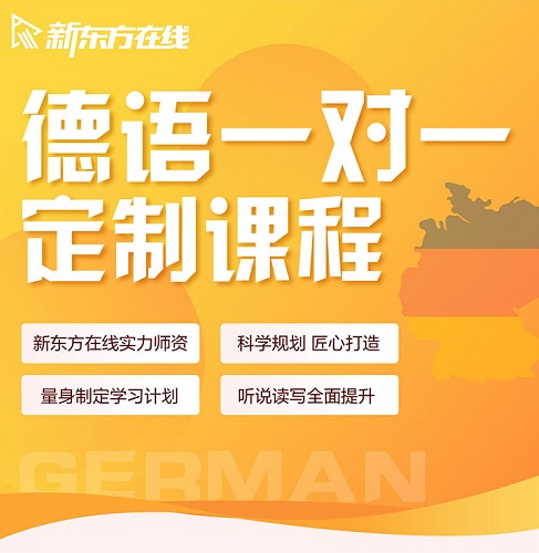 新东方在线德语网课 一对一直播课程 欧标口语