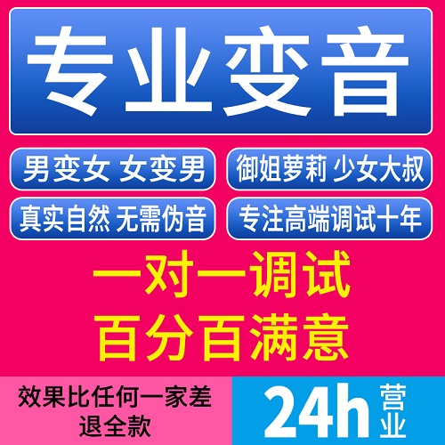 电脑变声器软件 实时变御姐音YY游戏
