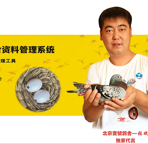 赛鸽云鸽舍管理系统 血统书制作翻译打印软件