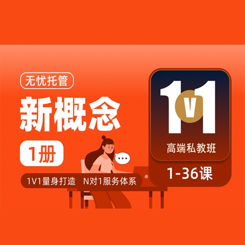 新概念1V1高端私教1册/2册网课