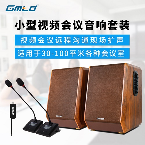 Gmtd金迈会议室音响设备 USB无线话筒