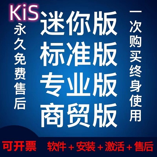 迷你版/标准版/专业版/商贸版 做账代记账