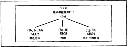 图4.png