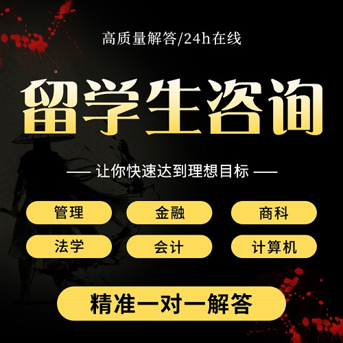 留学生咨询 英文essay辅导培训