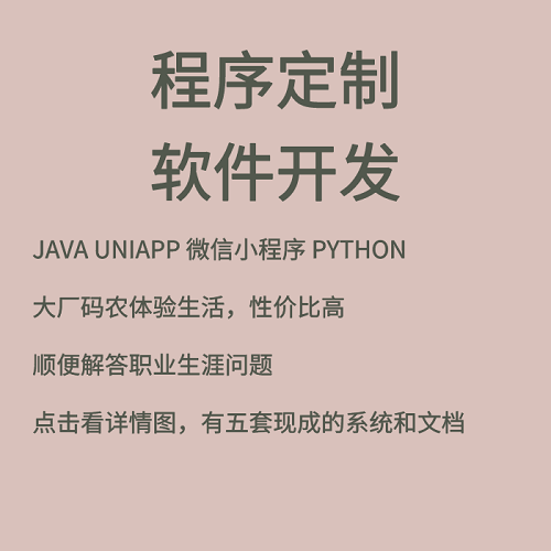 vue软件程序 java前后端开发 web网页设计制作