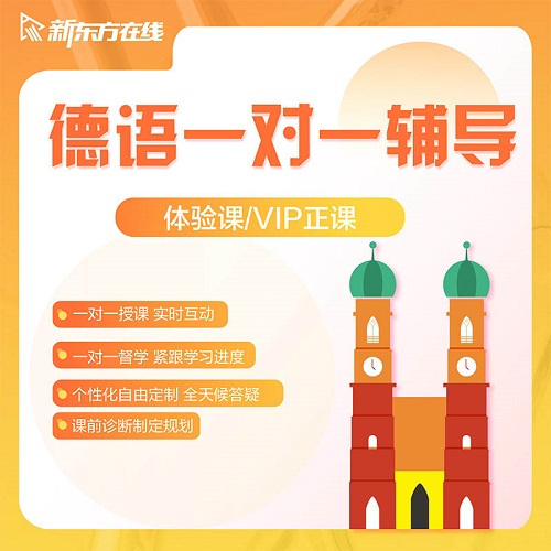 新东方德语一对一直播网课 欧标课程