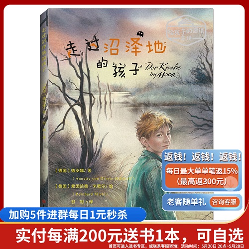《走过沼泽地的孩子》(德) 德安娜 著 德国文学诗歌