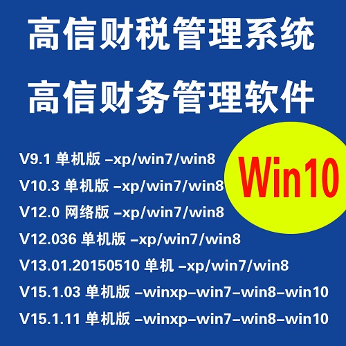 高信财税管理软件V13 U盘财务软件