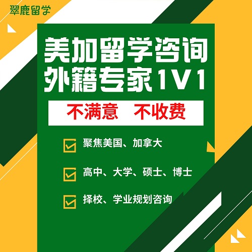 加拿大美国留学 外籍专家咨询