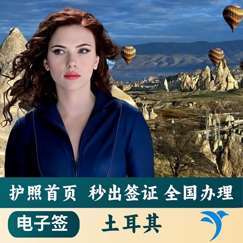 土耳其·旅游签证·土耳其商务签证 加急办理