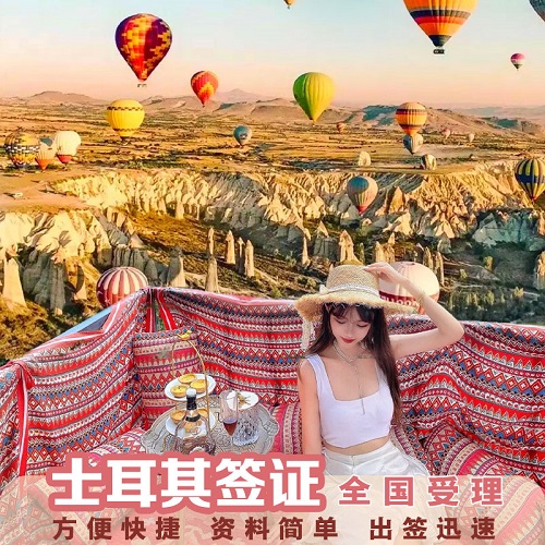 土耳其电子签证办理 土耳其180天加急申请