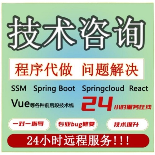 vue问题解决 程序代做SSM Spring Boot