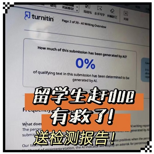 留学生essay辅导 商科assignment 留学文书