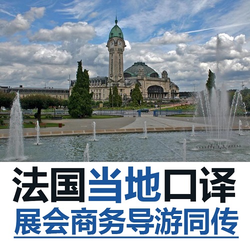 法国当地巴黎里昂马赛 地接商务口译