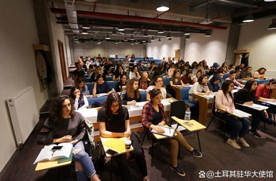 土耳其大学中的国际学生.png