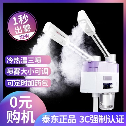泰东冷热喷雾机 美容仪补水 打开毛孔家蒸脸器