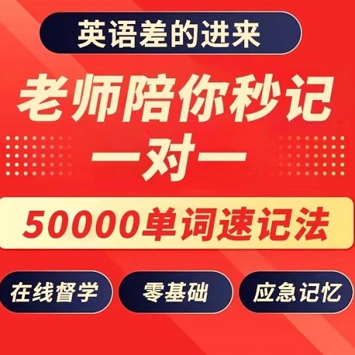 英语网课甄选 真人名师单词陪练秒记监督
