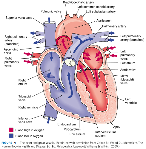 Figure1.png Figure1.png