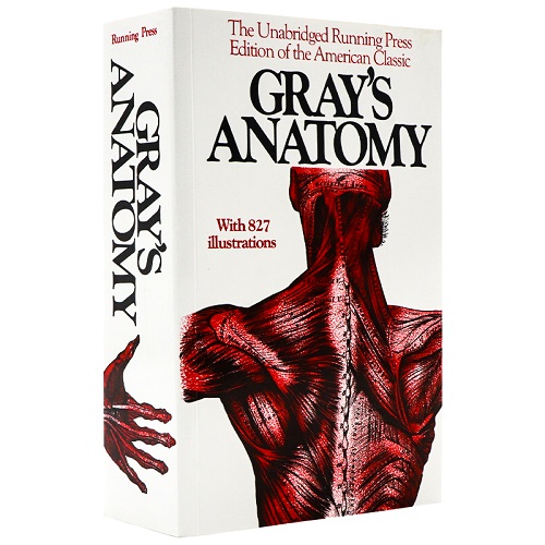 格氏解剖学 英文原版 Gray's Anatomy