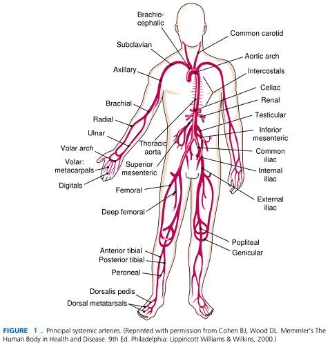 FIGURE 1.png FIGURE 1.png