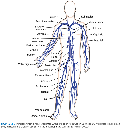 FIGURE 2.png FIGURE 2.png