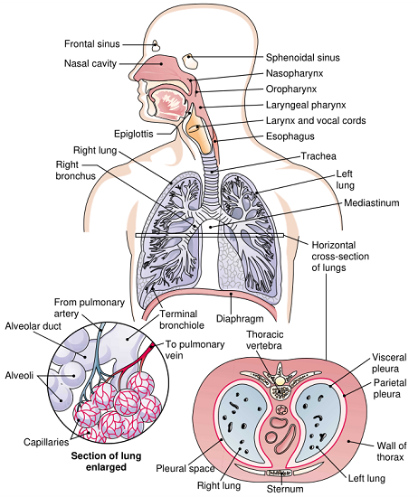 FIGURE1.png FIGURE1.png