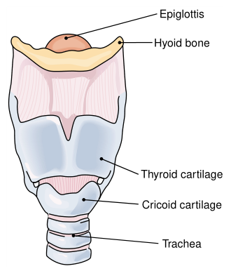 FIGURE2.png FIGURE2.png