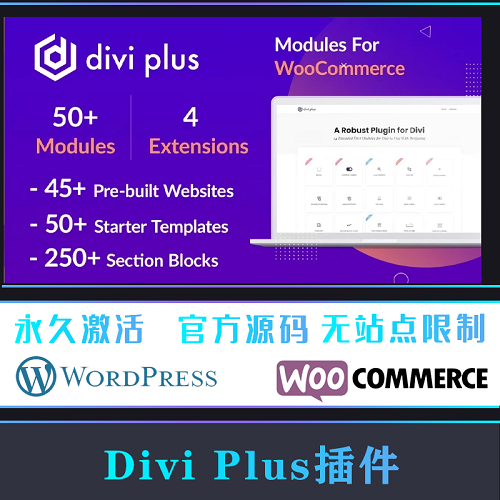 Divi Plus 汉化中文版 模板包